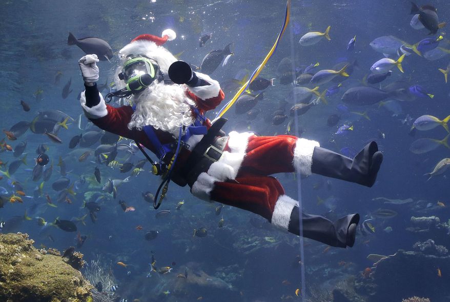 Volunteer diver George Bell, dressed as Santa Claus, swims in the Philippine coral reef tank before giving a presentation as part of the 'Tis the Season for Science holiday exhibit at the California Academy of Sciences in San Francisco, Thursday, Dec. 15, 2016. (AP Photo/Jeff Chiu)
