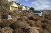 california_storms_65982.jpg