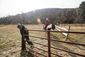 exchange-cowboy_christmas_59508.jpg