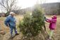 exchange-cowboy_christmas_80233.jpg
