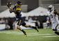 camellia_bowl_football_15279.jpg