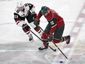 coyotes_wild_hockey_18669.jpg