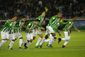 japan_soccer_club_world_cup_32063.jpg
