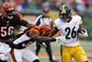steelers_bengals_football_41793.jpg