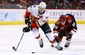 flames_coyotes_hockey_08960.jpg