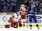 red_wings_lightning_hockey_86964.jpg