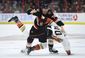 ducks_senators_hockey_57432.jpg
