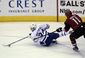 maple_leafs_coyotes_hockey_12464.jpg