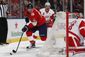 red_wings_panthers_hockey_29691.jpg