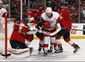 red_wings_panthers_hockey_95756.jpg