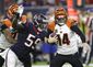 bengals_texans_football_41898.jpg