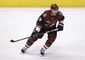 doan_and_matthews_hockey_96280.jpg