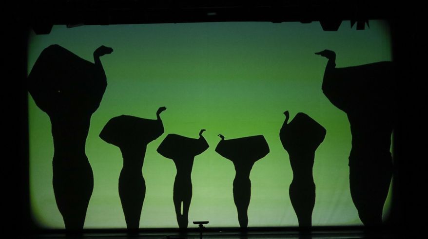 In this photo taken on Tuesday, Dec. 20, 2016, dancers of the U.S. company 'Catapult' create a group of ostriches, during their show 'Magic Shadows', in Milan, Italy. Dancers in the company create shadow sculptures with their bodies, giving a contemporary twist to the ancient Chinese art of shadow theaters. (AP Photo/Luca Bruno)