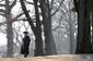 washingtons_crossing_26263.jpg