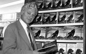 britain_obit_richard_adams_.jpeg