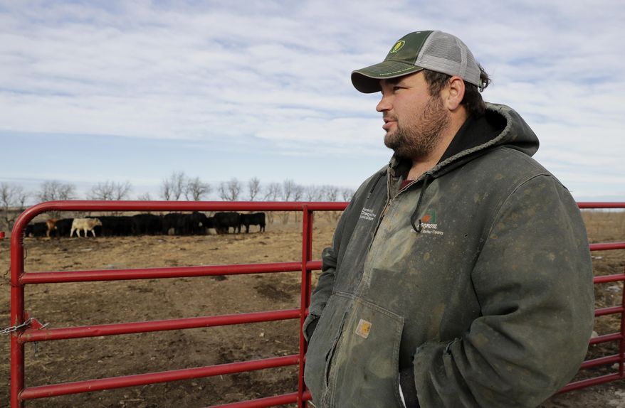 In this photo taken Wednesday, Dec. 21, 2016, Matt Ubell looks at his cow herd on his farm near Wheaton, Kan. Ubell is one of many farmers taking out government farm loan to make ends meet in a turbulent farm economy. (AP Photo/Charlie Riedel)