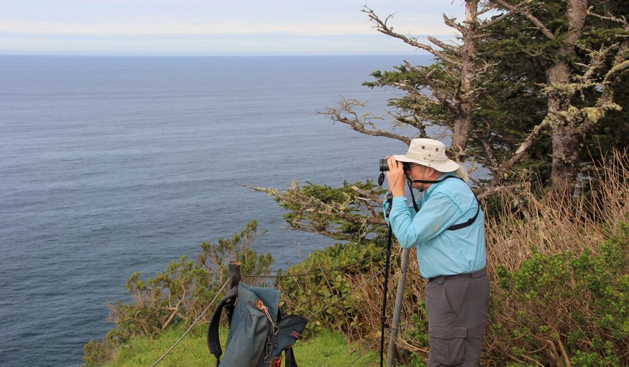 ADVANCE FOR USE SATURDAY, DEC. 31, 2016, AND THEREAFTER- FILE--In this March 20, 2015, file photo, Jim Border, who volunteers to help members of the public spot whales during Spoken Here Whale Watching Week on the Oregon Coast, scans the horizon for signs of spouts from the tip of Cape Lookout, near Tillamook, Ore. (Zach Urness/Statesman-Journal via AP, File)