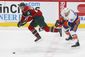 islanders_wild_hockey_45861.jpg