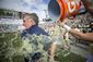 taxslayer_bowl_football_63784.jpg