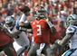 panthers_buccaneers_football_32073.jpg
