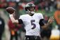 ravens_bengals_football_36976.jpg