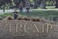 emirates_trump_dubai_87788.jpg