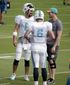 aptopix_dolphins_qbs_football_46648.jpg