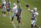 dolphins_qbs_football_84447.jpg