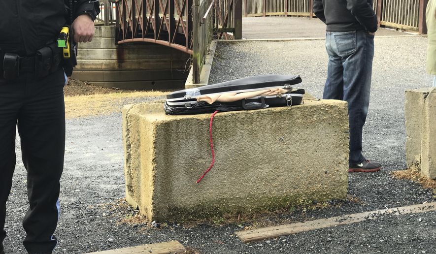 This image provided by Barbara Joan Saffir, shows police standing near a violin case along the Potomac River in Washington, Wednesday, Jan. 4, 2017. U.S. Park Police say several weapons, including two guns in a violin case, have been found by a woman walking in the woods (Barbara Joan Saffir via AP)