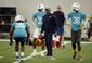 dolphins_joseph_football_67828.jpg