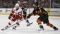 red_wings_ducks_hockey_30204.jpg