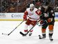 red_wings_ducks_hockey_70711.jpg
