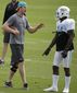 dolphins_qbs_football_25846.jpg
