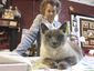 exchange_quilt_store_cat_44359.jpg