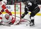 red_wings_kings_hockey_59670.jpg