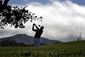 tournament_of_champions_golf_25970.jpg