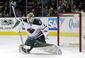 wild_sharks_hockey_09528.jpg