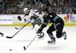 wild_sharks_hockey_52993.jpg