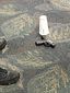 airport_shooting_florida_03041.jpg
