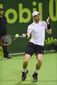 qatar_tennis_open_62041.jpg