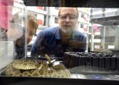 saving_snakes_99066.jpg