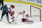 red_wings_sharks_hockey_19995.jpg