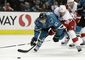red_wings_sharks_hockey_72252.jpg