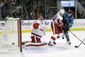 red_wings_sharks_hockey_94877.jpg