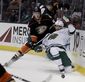 wild_ducks_hockey_44464.jpg