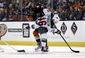 wild_ducks_hockey_60495.jpg