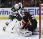 wild_ducks_hockey_79823.jpg