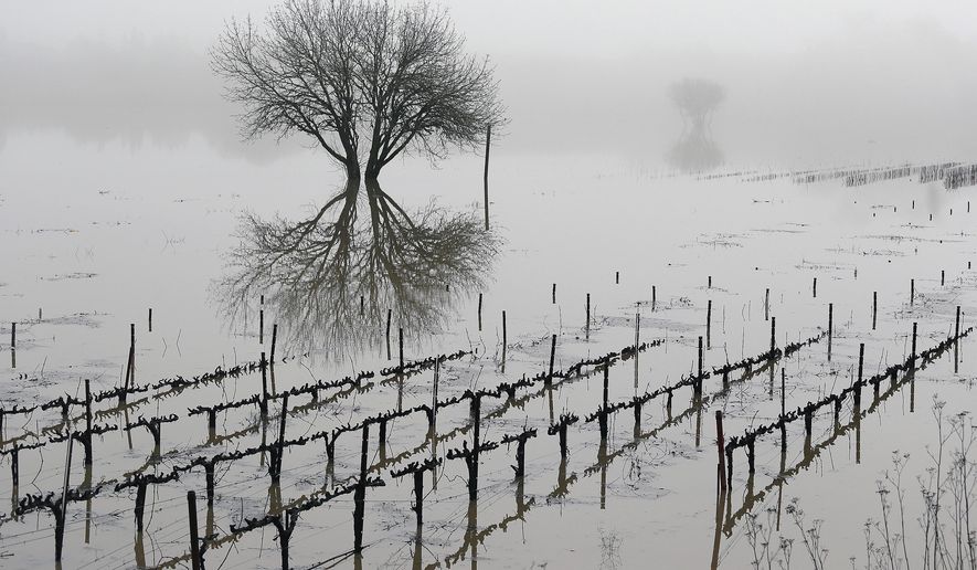 Vineyards remain flooded in the Russian River Valley, Monday, Jan. 9, 2017, in Forestville, Calif. A massive storm system stretching from California into Nevada lifted rivers climbing out of their banks, flooded vineyards and forced people to evacuate after warnings that hillsides parched by wildfires could give way to mudslides. (AP Photo/Eric Risberg)