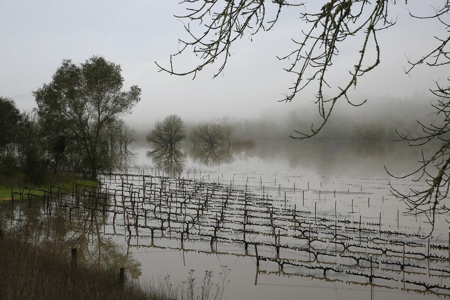 Vineyards remain flooded in the Russian River Valley, Monday, Jan. 9, 2017, in Forestville, Calif. A massive storm system stretching from California into Nevada lifted rivers climbing out of their banks, flooded vineyards and forced people to evacuate after warnings that hillsides parched by wildfires could give way to mudslides. (AP Photo/Eric Risberg)