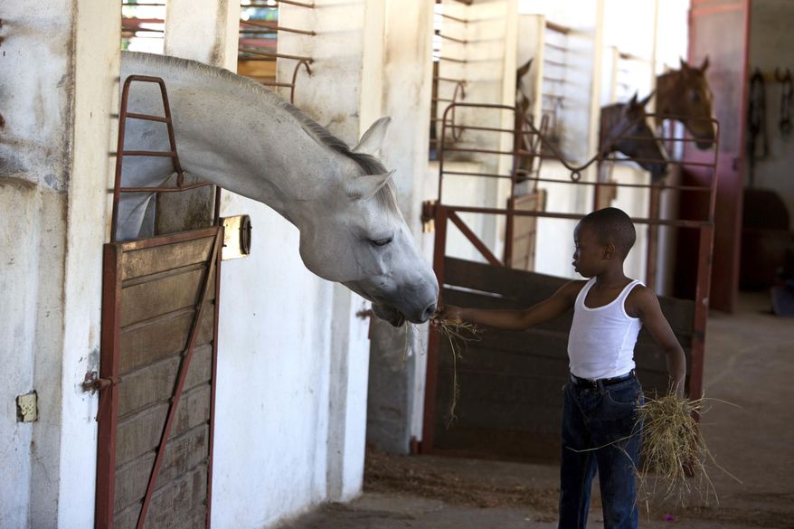 In this Jan. 11, 2017 photo, Judeley Hans Debel, who walks on a prosthetic right leg, feeds a horse at the Chateaublond Equestrian Center in Petion-Ville, Haiti. Judeley is one of a few dozen disabled people receiving therapeutic riding lessons at the center, according to his riding instructor, Louis Guerdes. (AP Photo/Dieu Nalio Chery)